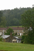 Karakteristiek dorpje in North York Moors NP. Schapen grazen overal